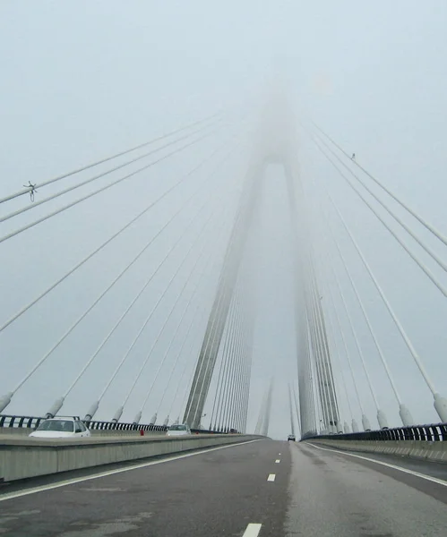 Dettaglio Della Campagna Norvegese Agosto 2006 — Foto Stock