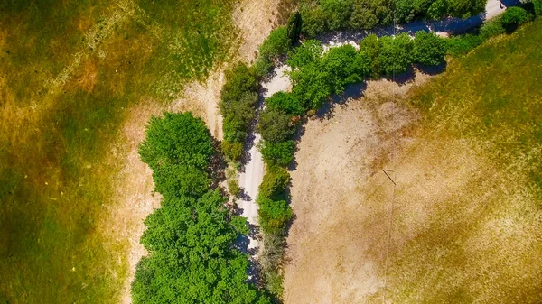 Vista Aérea Vegetação Rural Toscana Itália — Fotografia de Stock