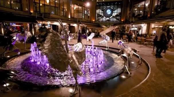 SYDNEY, ÖSTERRIKE - AUGUSTI 2018: Fontän vid Cockle Bay på natten i Darling Harbor — Stockvideo