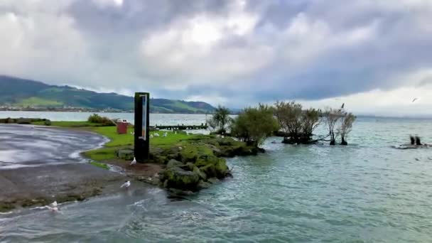 Vista panorámica del lago Rotorua, Rotorua, Nueva Zelanda — Vídeo de stock