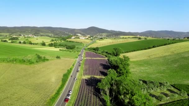 Pajiști de lavandă în mediul rural deschis. Vedere aeriană uimitoare în sezonul de vară — Videoclip de stoc