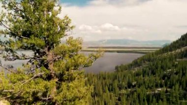 Jenny Gölü 'nün Grand Teton Ulusal Parkı' ndaki hava görüntüsü.