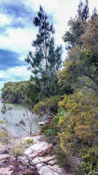 Prachtig Uitzicht Royal National Park Australië — Stockfoto