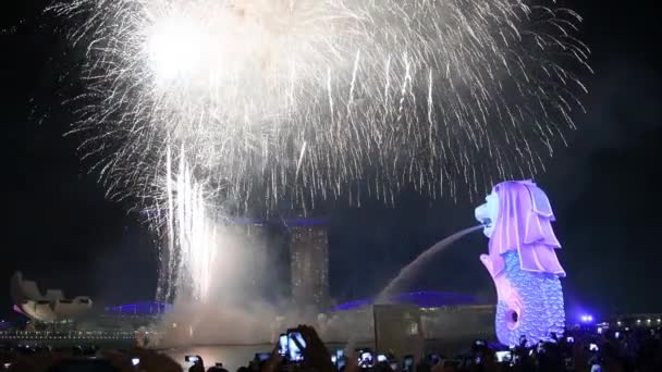 СІНГОПОРЕ - 1 ЧЕРВНЯ 2020: Дивовижні феєрверки на Новий рік у затоці Марина. — стокове відео