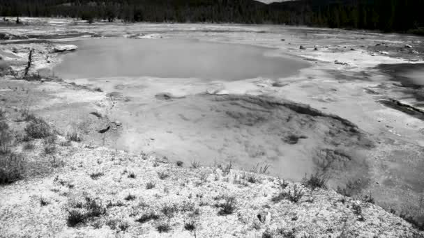 Vista em preto e branco da piscina térmica em Yellowstone — Vídeo de Stock