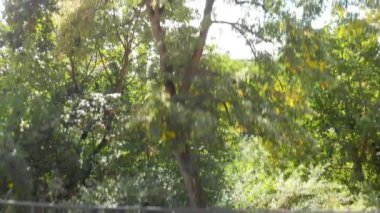 Bamberg yaz mevsiminde, Almanya 'da. İnsansız hava aracından görüntüle, yavaş çekim