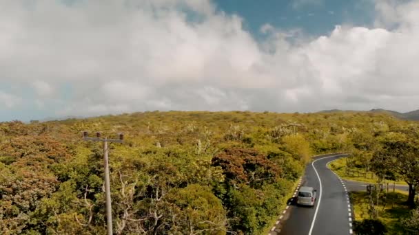 Bella strada attraverso la foresta dell'isola, vista aerea. Rallentatore — Video Stock