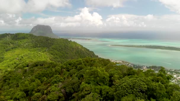 Incredibile vista aerea di Mauritius, Africa. Linea costiera e foresta — Video Stock