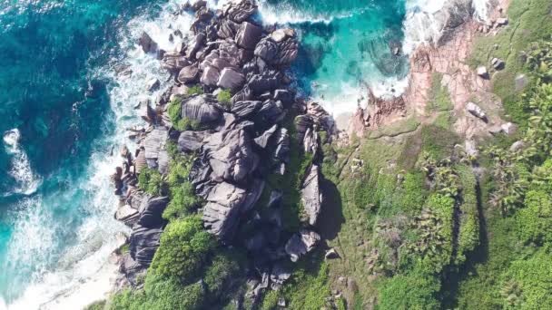 無人機から取られた海とヤシの熱帯ビーチ。セーシェルの有名なビーチ- La Digue Grand Anseの航空写真 — ストック動画