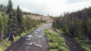 Yellowstone Ulusal Parkı 'ndaki Yellowstone nehri, hava manzaralı.