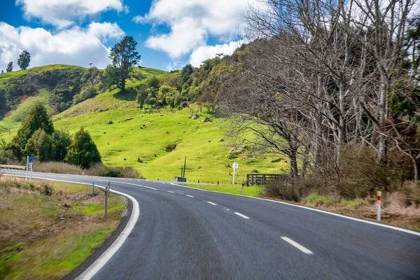 Camino Través Del Campo Nueva Zelanda — Foto de Stock