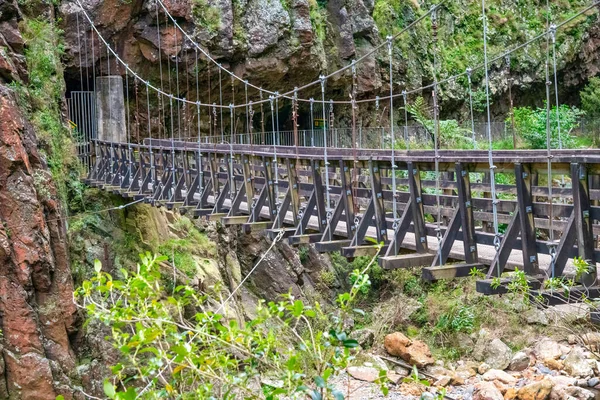 Karangahake Gorge Trail New Zealand North Island — Stock Photo, Image