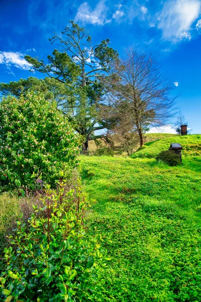 Hobbiton Heuvels Paden Nieuw Zeeland — Stockfoto