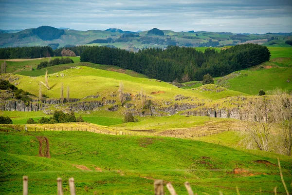 Деревенские Холмы Новой Зеландии — стоковое фото