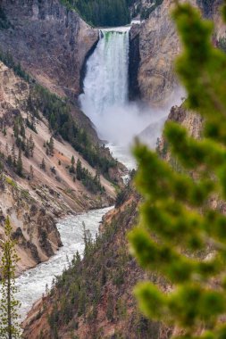 Yellowstone nehri ve şelaleleri yaz mevsiminde, ABD