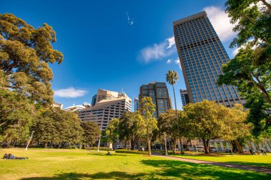 SYDNEY - 19 AĞUSTOS 2018: Hyde Park 'taki Sydney gökdelenlerinin gökyüzü manzarası