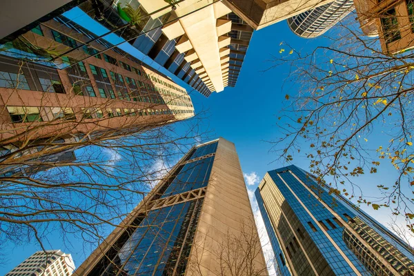 Skyward View Sydney Skyscrapers Downtown — 图库照片