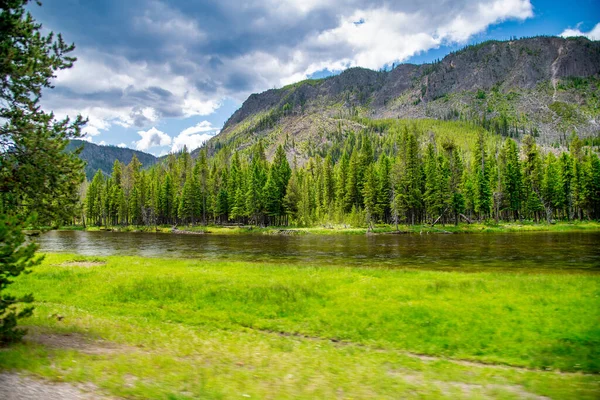 Rio Yellowstone Com Belas Árvores Montanhas — Fotografia de Stock