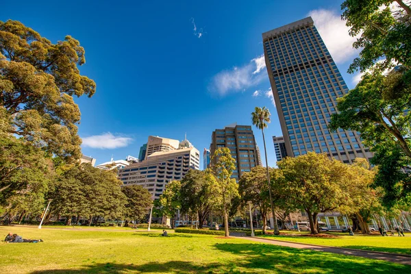 Сидней Августа 2018 Года Skyward View Sydney Skyscrapers Hyde Park — стоковое фото