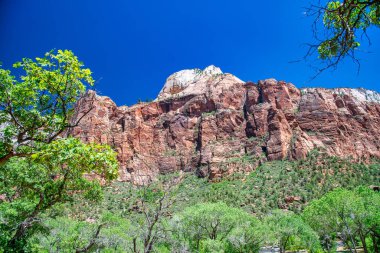 Mountains of Zion National Park in summer season