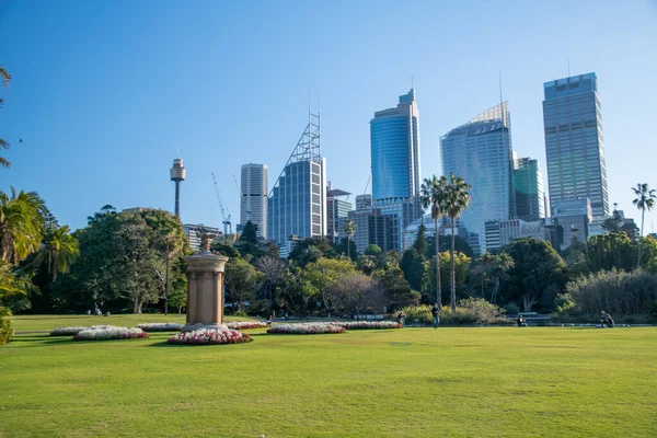 Sydney Août 2018 Jardins Royaux Horizon Ville Par Une Journée — Photo