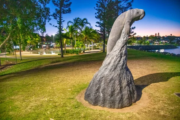 Airlie Beach Park Natten Australien — Stockfoto