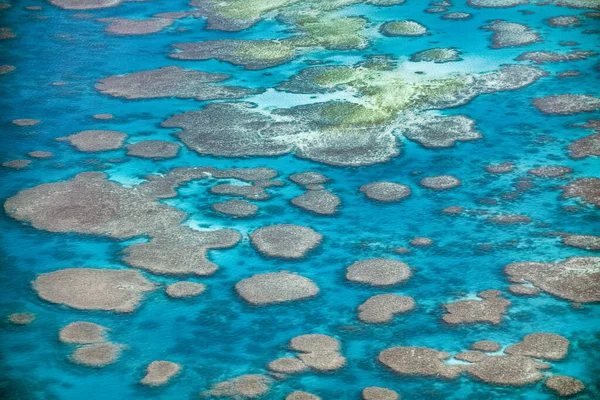 Повітряний Вид Білоденних Островів Кораловий Риф Квінсленду Літака — стокове фото