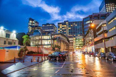 WELLINGTON, NEW ZEALAND - 4 Eylül 2018: deniz boyunca şehir binaları gün batımında