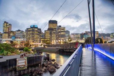 WELLINGTON, NEW ZEALAND - 4 Eylül 2018: deniz boyunca şehir binaları gün batımında