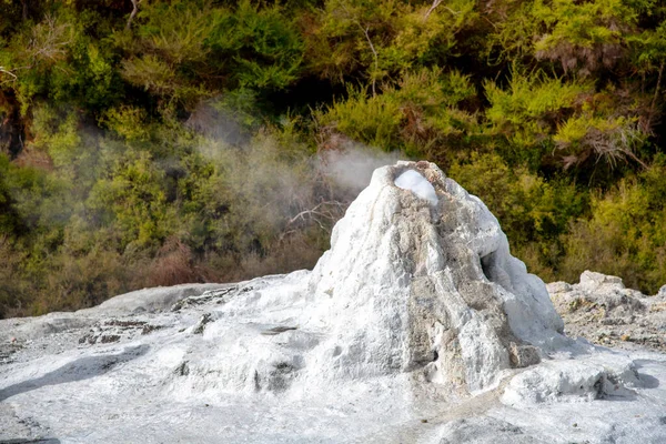 Waiotapu Geysir Bereit Zum Ausbruch Neuseeland — Stockfoto