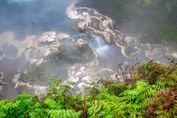 Waikite Valley Natural Hot Creek New Zealand — Stock Photo, Image