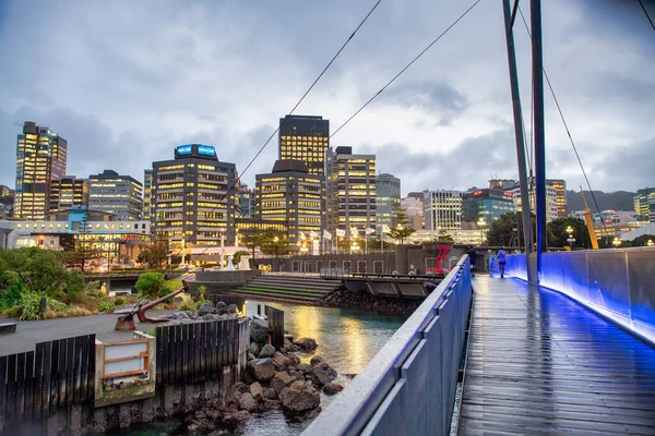 Wellington Nova Zelândia Setembro 2018 Edifícios Cidade Longo Mar Pôr — Fotografia de Stock