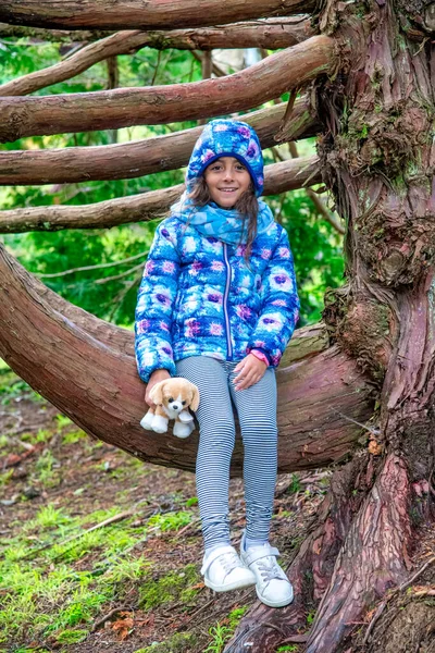 Mladá Dívka Sedí Větvi Stromu — Stock fotografie