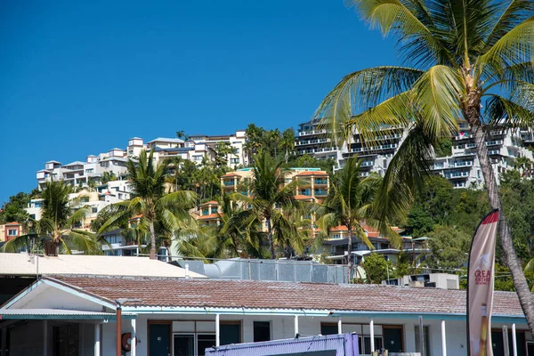 Park Miejski Airlie Beach Piękny Słoneczny Dzień Queensland Australia — Zdjęcie stockowe