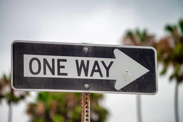 One way sign with palms on the background