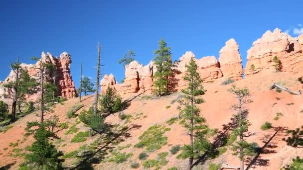 Étonnantes formations rocheuses du parc national de Bryce Canyon. Vue sur une belle journée d'été — Video