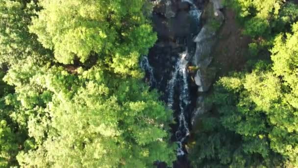 Cachoeiras em Reggia di Caserta. Vista aérea de árvores e água na temporada de verão de um drone em movimento — Vídeo de Stock