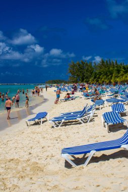 Harika bir plajda sıralar dolusu sandalye, Grand Turk.