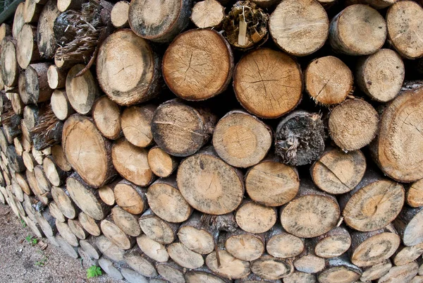 Lumber Dolomites Wood Italy — Stock Photo, Image