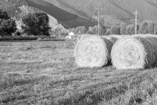 Bales Hay Tuscan Meadow Włochy — Zdjęcie stockowe