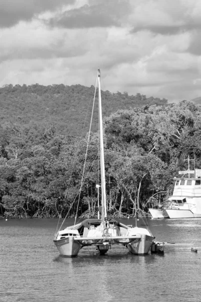 Pobřeží Port Douglas Severní Queensland Austrálie — Stock fotografie