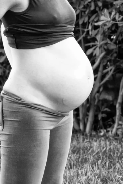 Barriga Uma Mulher Grávida Semanas — Fotografia de Stock