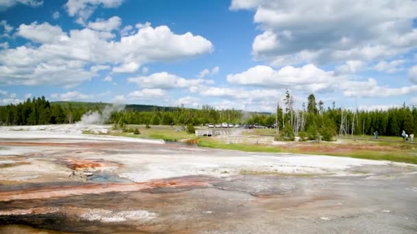 Parque Nacional Yellowstone, Wyoming. Herramienta de primavera esmeralda — Vídeos de Stock