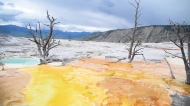 Yellowstone, Wyoming 'deki Mamut Kaplıcaları