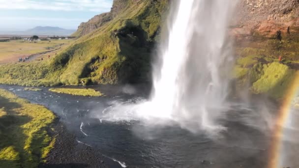 Seljalandsfoss Cascadas en temporada de verano, Islandia — Vídeos de Stock