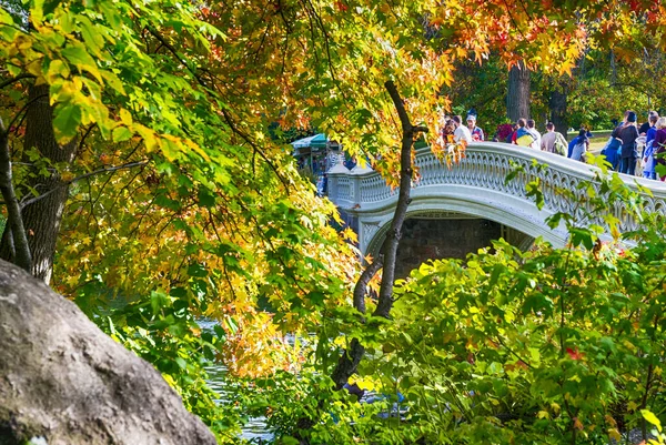 New York Oktober 2015 Turister Central Park Staden Lockar Miljoner — Stockfoto