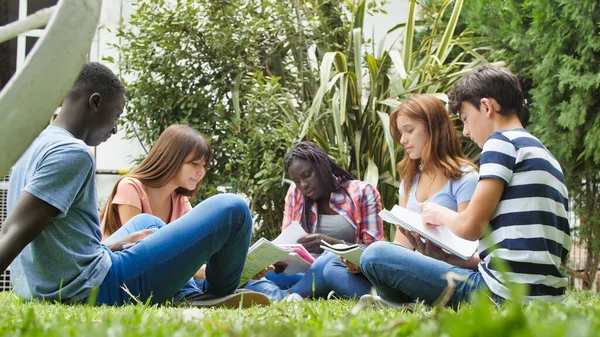 Multi Etnische Groep Van Vijf Studenten Zitten Het Gras Doen — Stockfoto