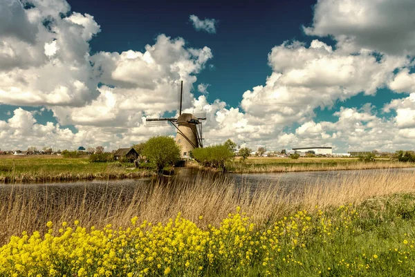 Ανεμόμυλοι Kinderdijk Κάτω Χώρες — Φωτογραφία Αρχείου