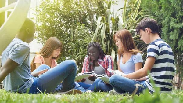 由5名学生组成的多族裔群体坐在草地上做作业和放松 — 图库照片