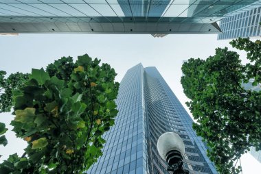 Ağaçlarla çevrili gökdelenler, gökyüzü manzaralı. İş ve şirket kavramı.